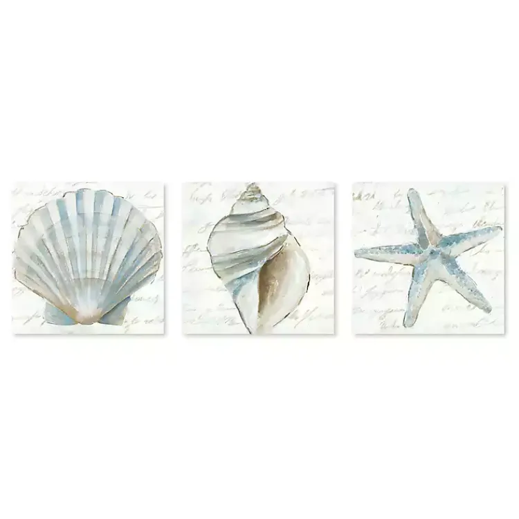 Kirklands Home Canvas Art|Ocean Treasures Canvas Art Prints, Set of 3