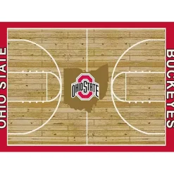 Kirklands Home Area Rugs|Ohio State Courtside Area Rug, 4x6