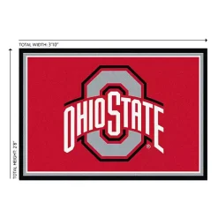 Kirklands Home Area Rugs|Ohio State University Area Rug, 3x4