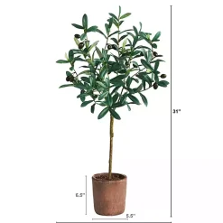 Outlet Olive Branch Tree in Weathered Planter, 3 ft. Trees & Topiaries