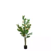 Online Orange Fruit Tree in Black Pot, 4 ft. Trees & Topiaries