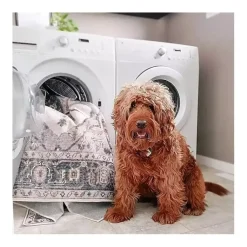 Kirklands Home Area Rugs|Orange Global Pattern Washable Runner