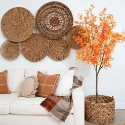 Best Maple Tree in Black Planter, 7 ft. Trees & Topiaries