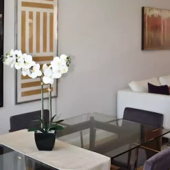 Discount Orchid Arrangement in Black Pot Arrangements & Greenery