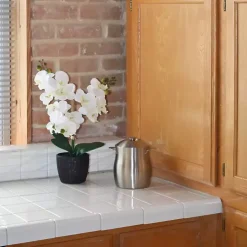 Clearance Orchid Arrangement in Black Decorative Pot Arrangements & Greenery