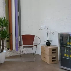 Online Orchid Arrangement in Floral Planter Arrangements & Greenery