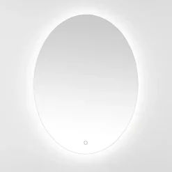 Kirklands Home Decorative Mirrors|Oval Nolan LED Wall Mirror