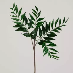 Online Palmate Fern Stems, Set of 3 Stems & Bouquets