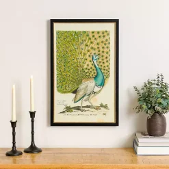 Kirklands Home Framed Art|Peacock Framed Wall Art