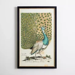 Kirklands Home Framed Art|Peacock Framed Wall Art