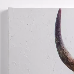 Kirklands Home Canvas Art|Peek-A-Boo Cow Canvas Art Print