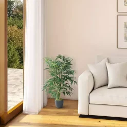 Hot Phoenix Palm Tree in Black Nursery Pot Trees & Topiaries