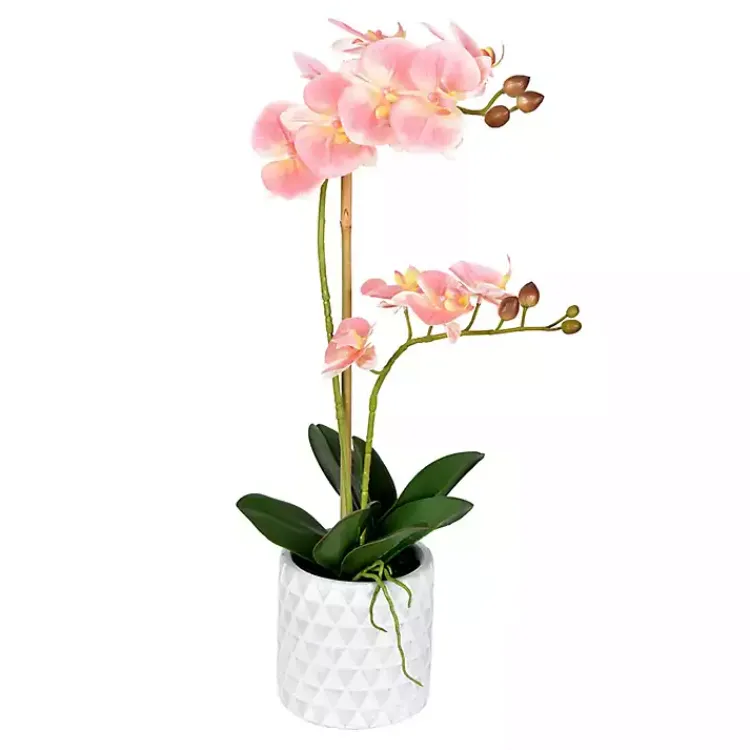 Hot Pink Orchid Real Touch Arrangement in Ceramic Pot Arrangements & Greenery