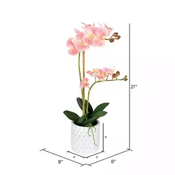 Hot Pink Orchid Real Touch Arrangement in Ceramic Pot Arrangements & Greenery