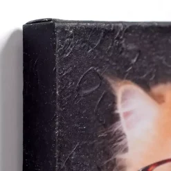 Kirklands Home Canvas Art|Pippa the Cat Canvas Art Print