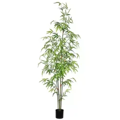 Best Potted Bamboo Tree, 5 ft. Trees & Topiaries