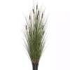 Online Potted Brown Cats Tails Grass, 48 in. Trees & Topiaries