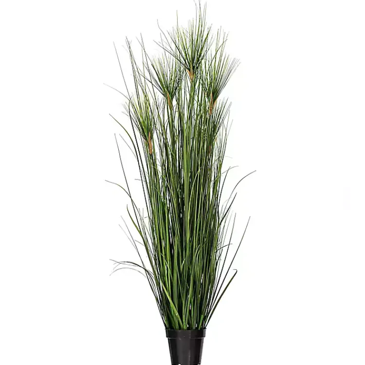 Potted Green Grass, 36 in. Trees & Topiaries