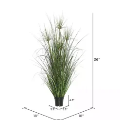 Potted Green Grass, 36 in. Trees & Topiaries