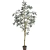Sale Potted Olive Branch Tree, 6 ft. Trees & Topiaries