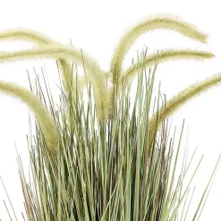 Best Prairie Grass in Pot Trees & Topiaries