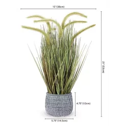 Best Prairie Grass in Pot Trees & Topiaries