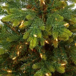 Discount Pre-Lit North Carolina Fir Tree in Red Planter Christmas Arrangements & Garland