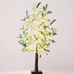 Sale Pre-Lit Warm LED Olive Tree, 2 ft. Trees & Topiaries