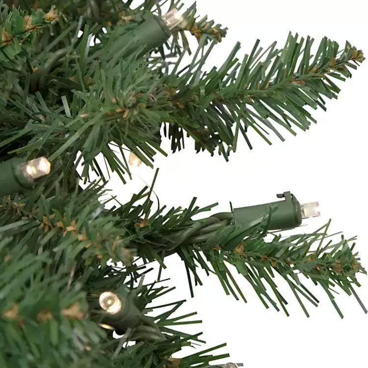 Hot Pre-Lit Winona Fir Wreath Christmas Wreaths