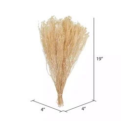 New Preserved Natural Bleached Staavia Bush Stems & Bouquets