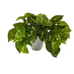 Outlet Real Touch Variegated Pothos in White Planter Arrangements & Greenery