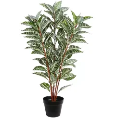 Best Real Touch Zebra Plant in Nursery Planter Trees & Topiaries