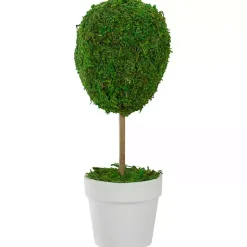 Hot Reindeer Moss Ball Topiary in White Pot Trees & Topiaries