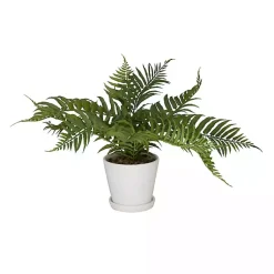 Best River Rock Fern in Ribbed White Planter Arrangements & Greenery