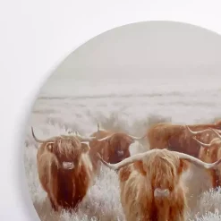 Kirklands Home Canvas Art|Round Frosty Highland Cows Canvas Art Print