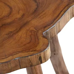 Kirklands Home Accent & End Tables|Rustic Natural Woodland Accent Table Brown