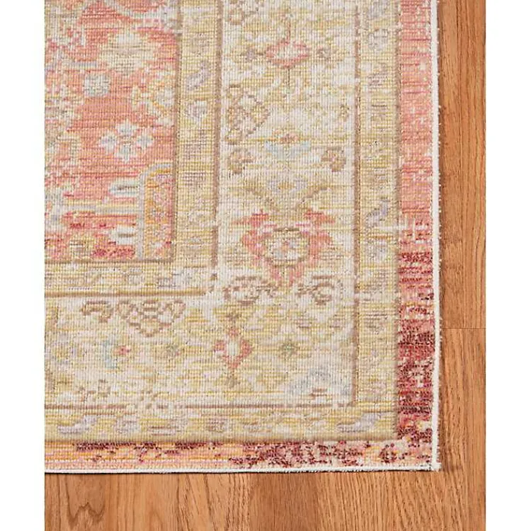 Kirklands Home Area Rugs|Salmon Vintage Border Area Rug