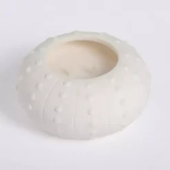 Online Salt and Driftwood Sea Urchin Jar Candle Candles