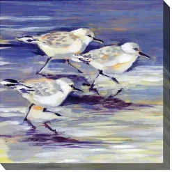Kirklands Home Outdoor Wall Decor|Sandpipers Outdoor Canvas Art Print