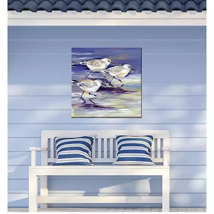 Kirklands Home Outdoor Wall Decor|Sandpipers Outdoor Canvas Art Print