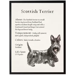Kirklands Home Wall Quotes & Signs|Scottish Terrier Facts Framed Wall Plaque