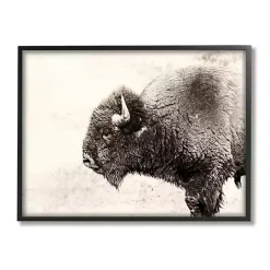Kirklands Home Canvas Art|Shaggy Buffalo Black Framed Canvas Art Print Brown