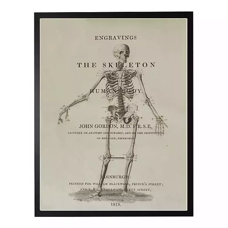 Discount Skeleton Framed Halloween Wall Art Halloween