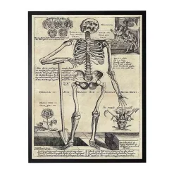 Discount Skeleton Poster Framed Halloween Wall Plaque Halloween