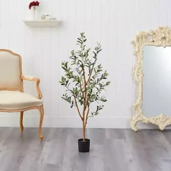 Outlet Slender Olive Branch Tree in Nursery Planter Trees & Topiaries