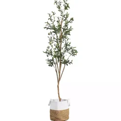 Hot Slim Olive Tree in Woven Planter, 7 ft. Trees & Topiaries
