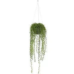 Discount String of Pearl Plant in Hanging Planter Arrangements & Greenery