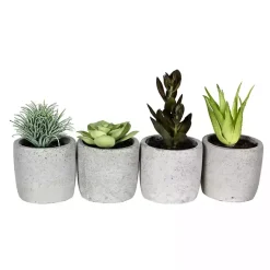 Hot Succulents in Ceramic Pots, Set of 4 Arrangements & Greenery