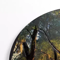 Kirklands Home Canvas Art|Sunset Greenway Arched Canvas Art Print