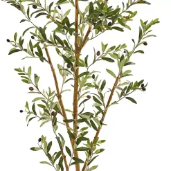 Hot Tall Potted Olive Branch Tree, 82 in. Trees & Topiaries